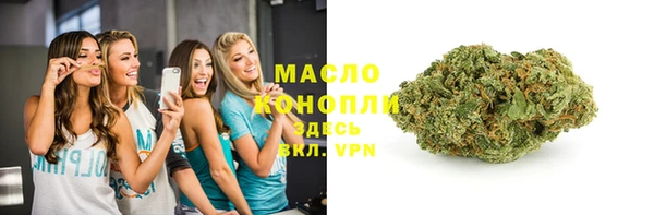 дмт Надым