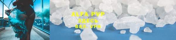 дмт Надым