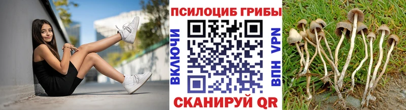 Галлюциногенные грибы Magic Shrooms  Нижнекамск 