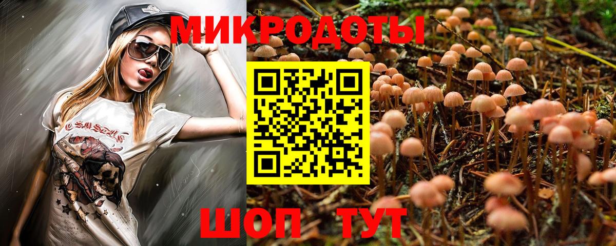 Галлюциногенные грибы мицелий  Вход с VPN  Нижнекамск 