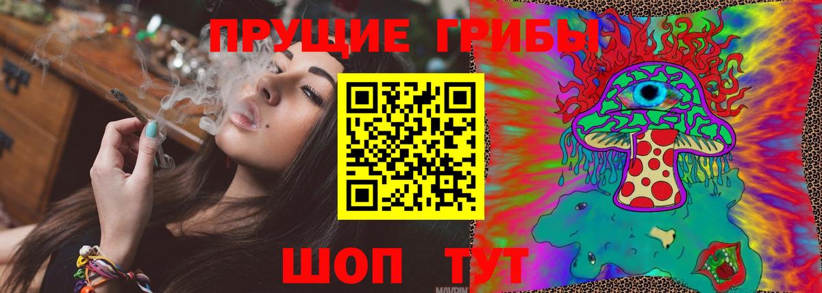 Псилоцибиновые грибы Cubensis Нижнекамск